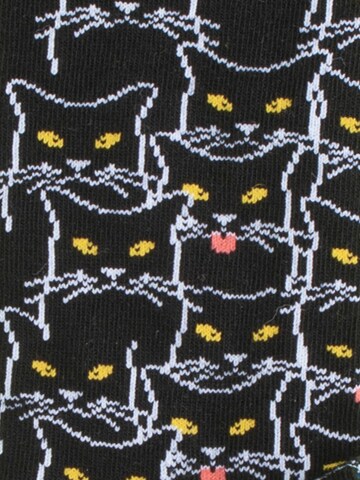 DillySocks Socken 'Cat Lover Pack - Kitty Chat - Cats of Prey - Sky Kitten' in Mischfarben