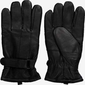 JP1880 Full Finger Gloves in Black
