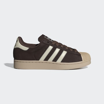 Baskets basses 'Superstar II' ADIDAS ORIGINALS en marron