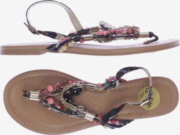 Buffalo London Sandalen 38 in Mischfarben: predná strana