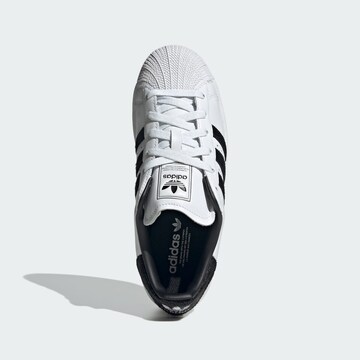 ADIDAS ORIGINALS Ниски маратонки 'Superstar II' в бяло