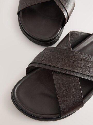 Next Mules in Brown