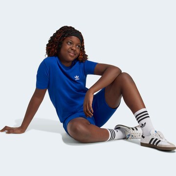 ADIDAS ORIGINALS Regular Pants in Blue
