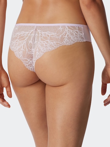 SCHIESSER Panty ' Lace ' in Pink