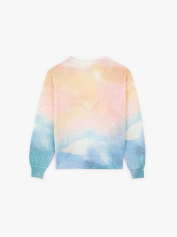 Scalpers Sweater in Mixed colors