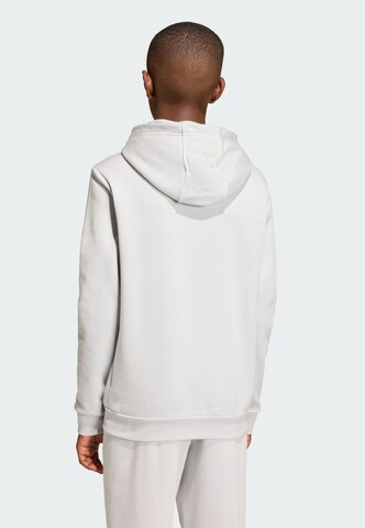 ADIDAS PERFORMANCE - Camiseta deportiva 'Entrada26' en gris