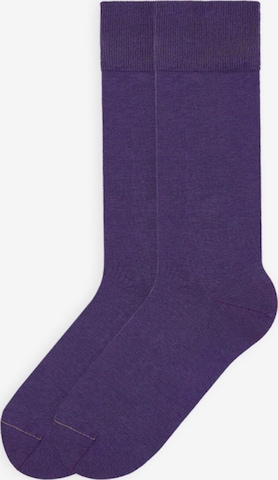 Von Jungfeld Socks in Purple: front