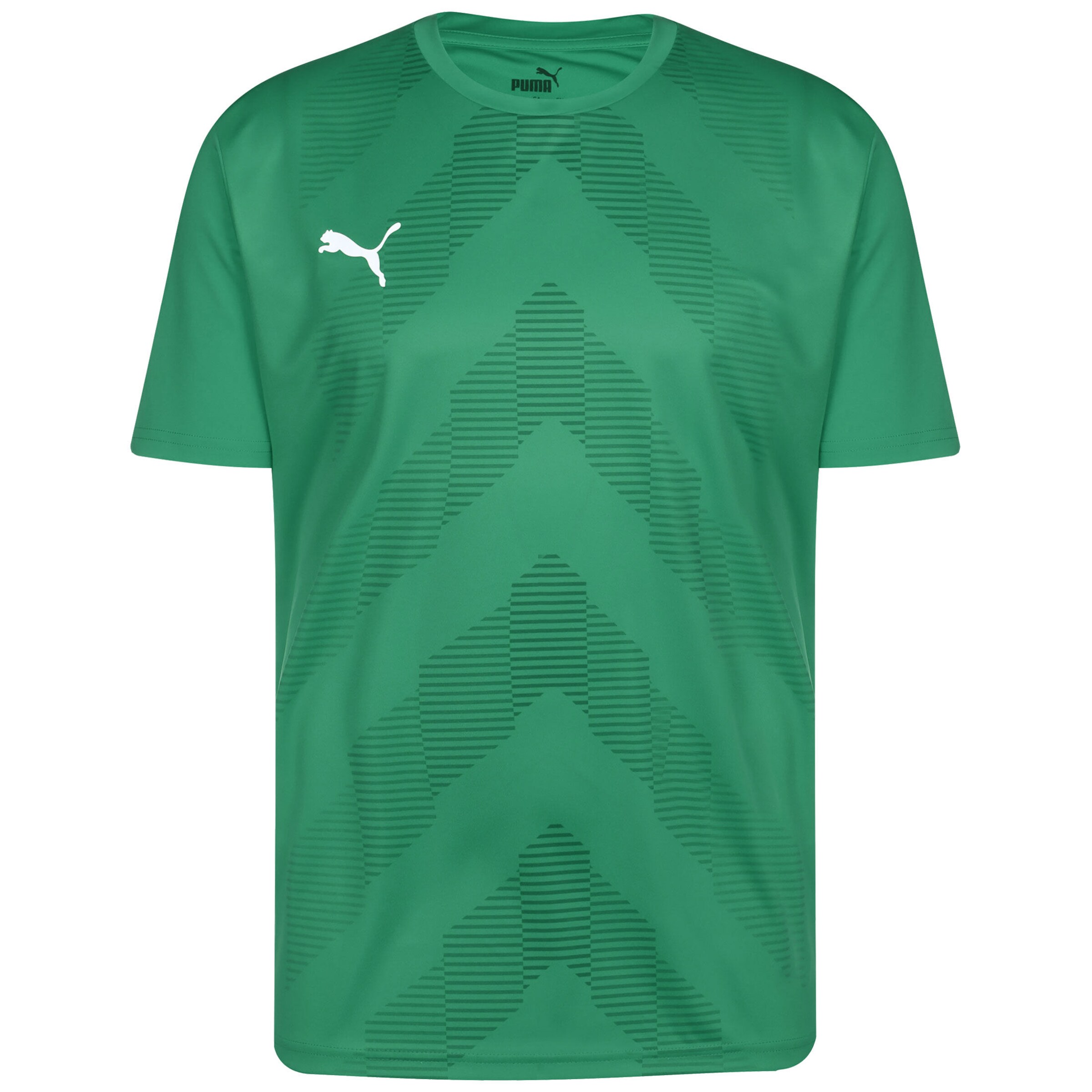 PUMA Trikot 'TeamGlory' in Grün: Vorderseite