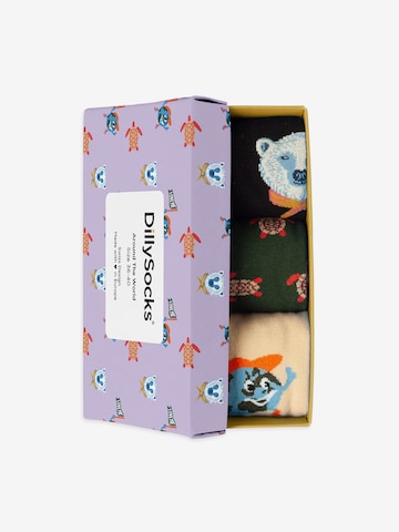 Chaussettes 'Around the World' DillySocks en mélange de couleurs