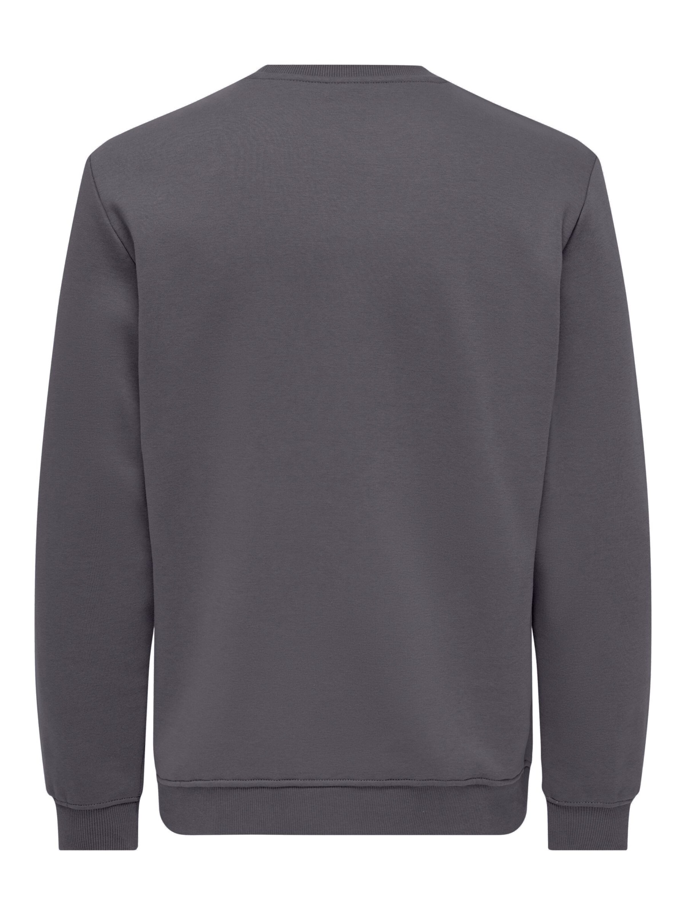 Only & Sons - Sudadera 'ONSConnor' en gris