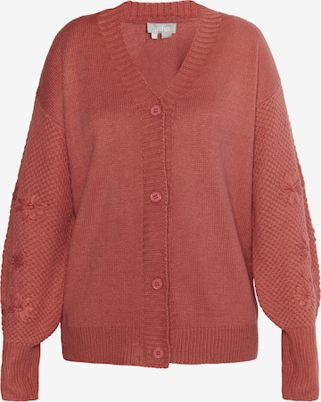 Usha Sweater in Pink: front