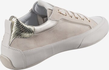 Candice Cooper Sneakers 'Kendo' in Beige