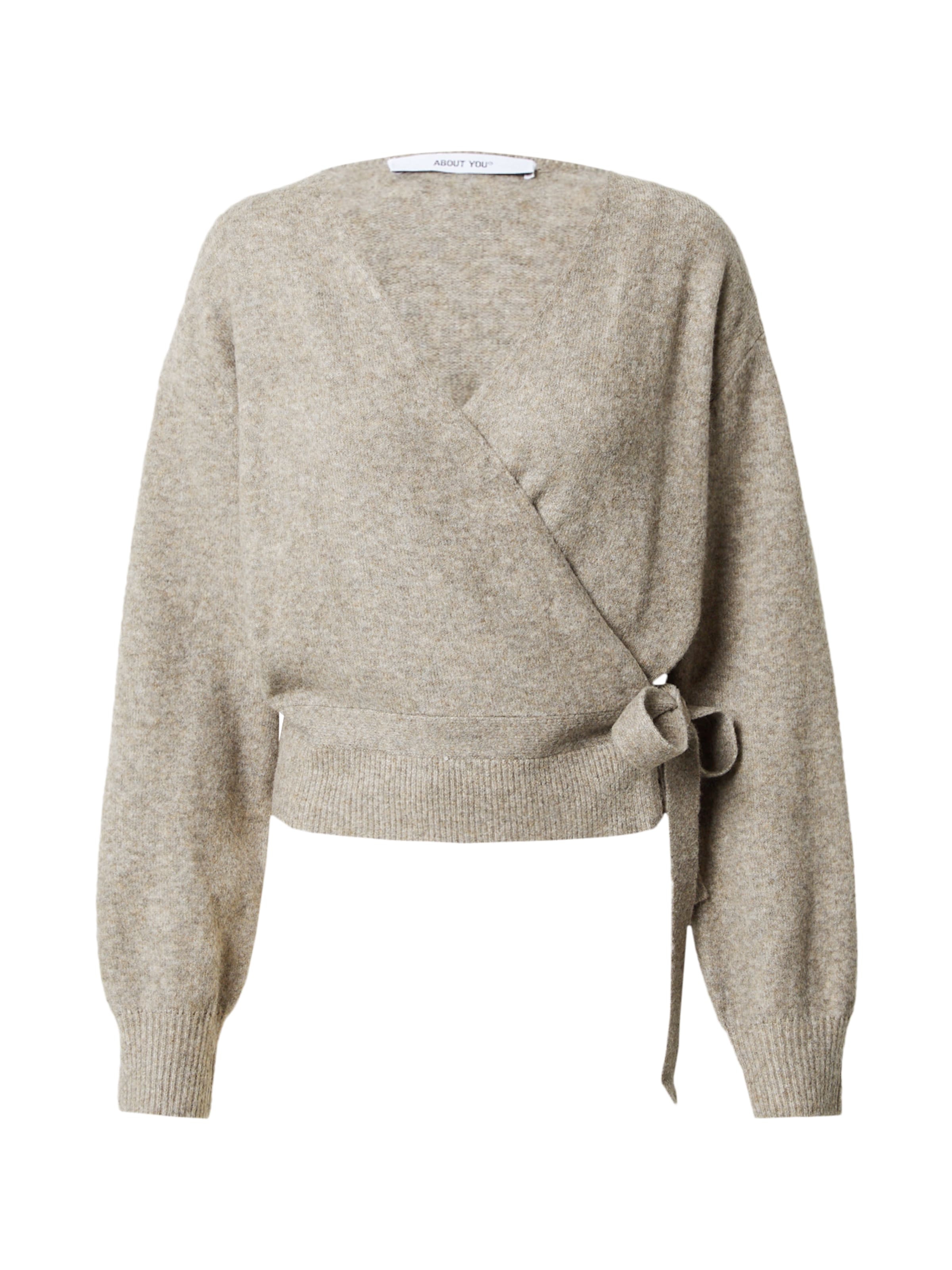 Giacchetta di ABOUT YOU in marrone: frontale