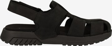 TIMBERLAND Sandalen in Schwarz