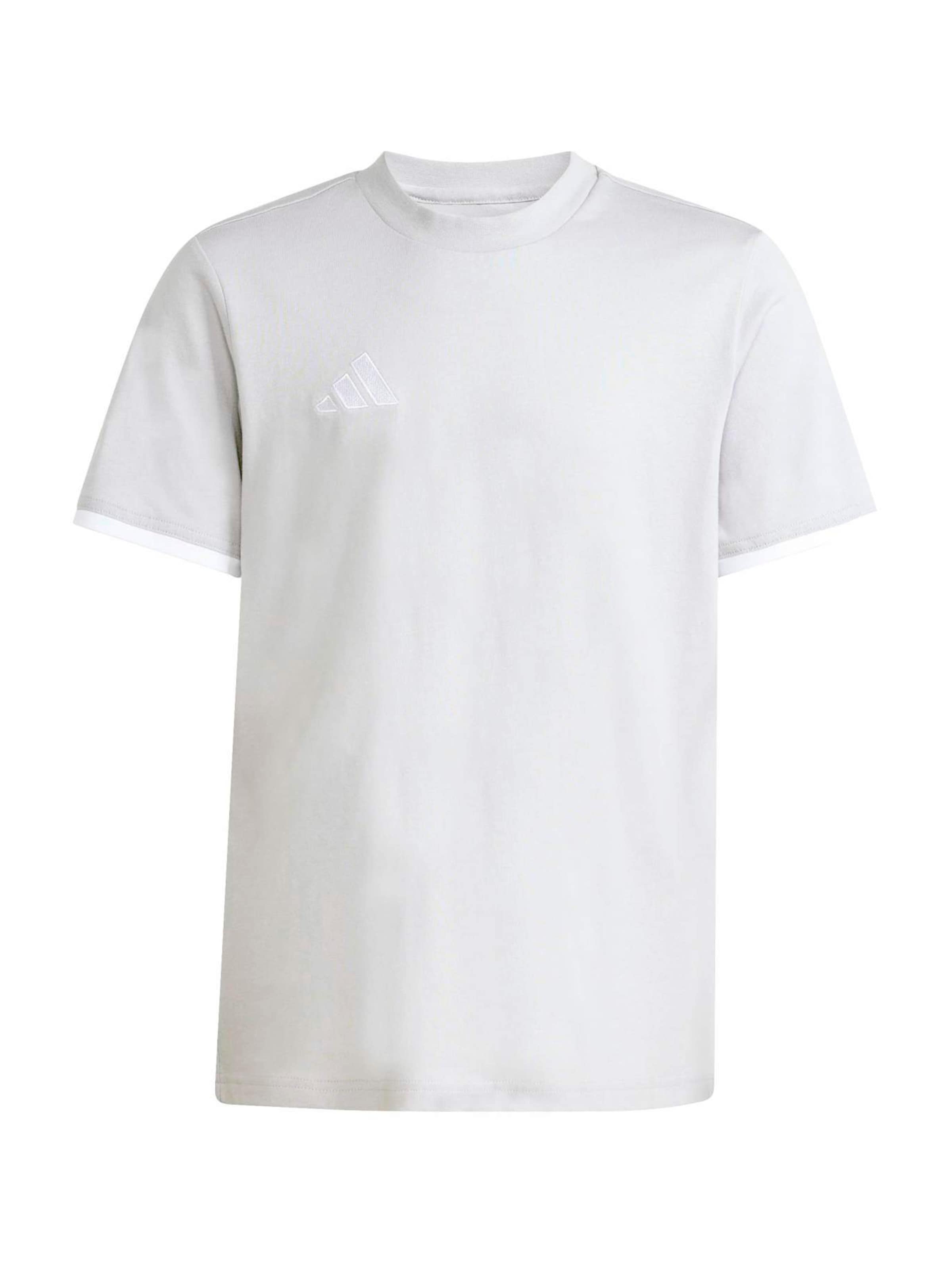 ADIDAS PERFORMANCE - Camiseta funcional 'ENT26' en gris: frente