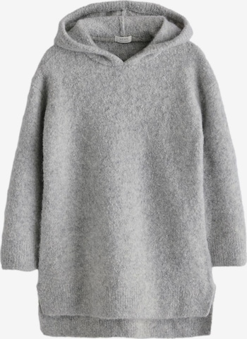 Pullover di Next in grigio: frontale