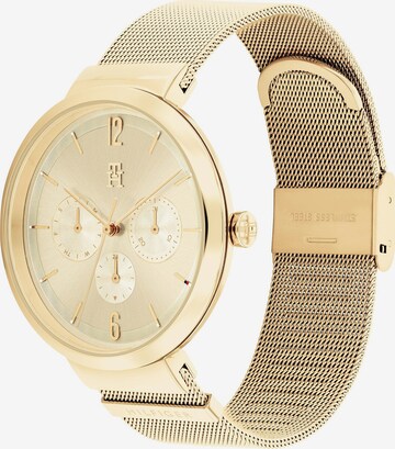 TOMMY HILFIGER Analog Watch in Gold