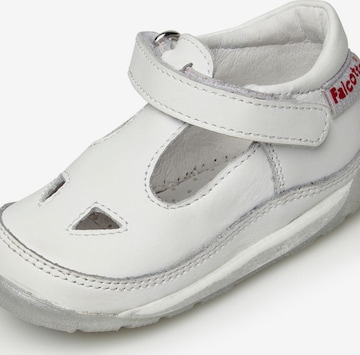Falcotto Offene Schuhe 'SAN DIEGO NEW' in Weiß: Vorderseite