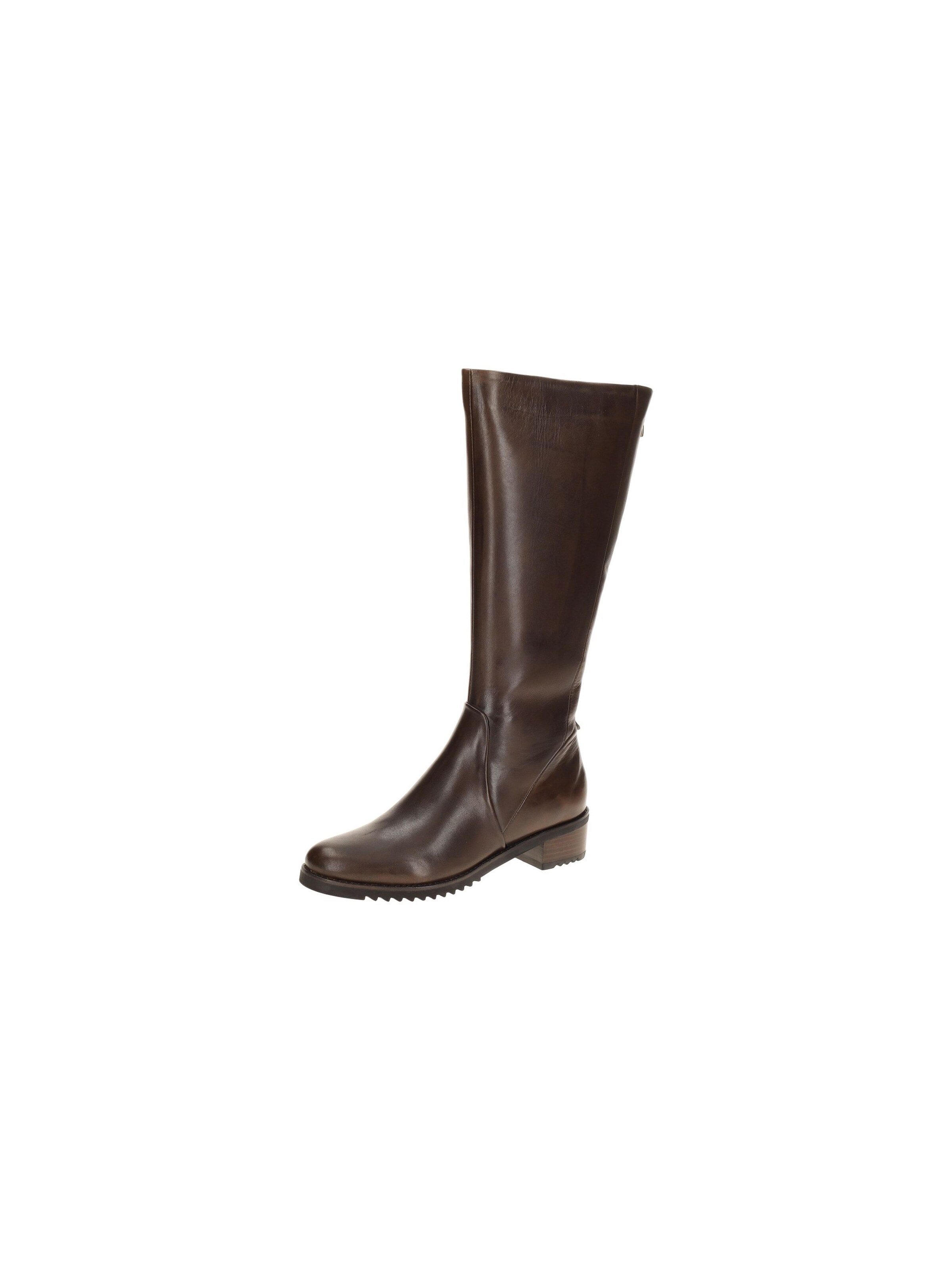 Everybody Boots 'Everybody Brisa Schaft Stiefel braun dünn gefüttert' in 39 in Brown, Item view