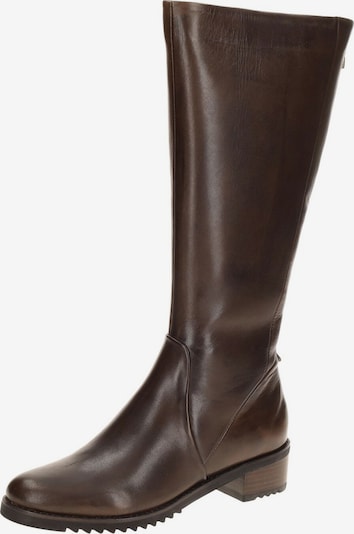 Everybody Boots 'Everybody Brisa Schaft Stiefel braun dünn gefüttert' in 39 in Brown, Item view
