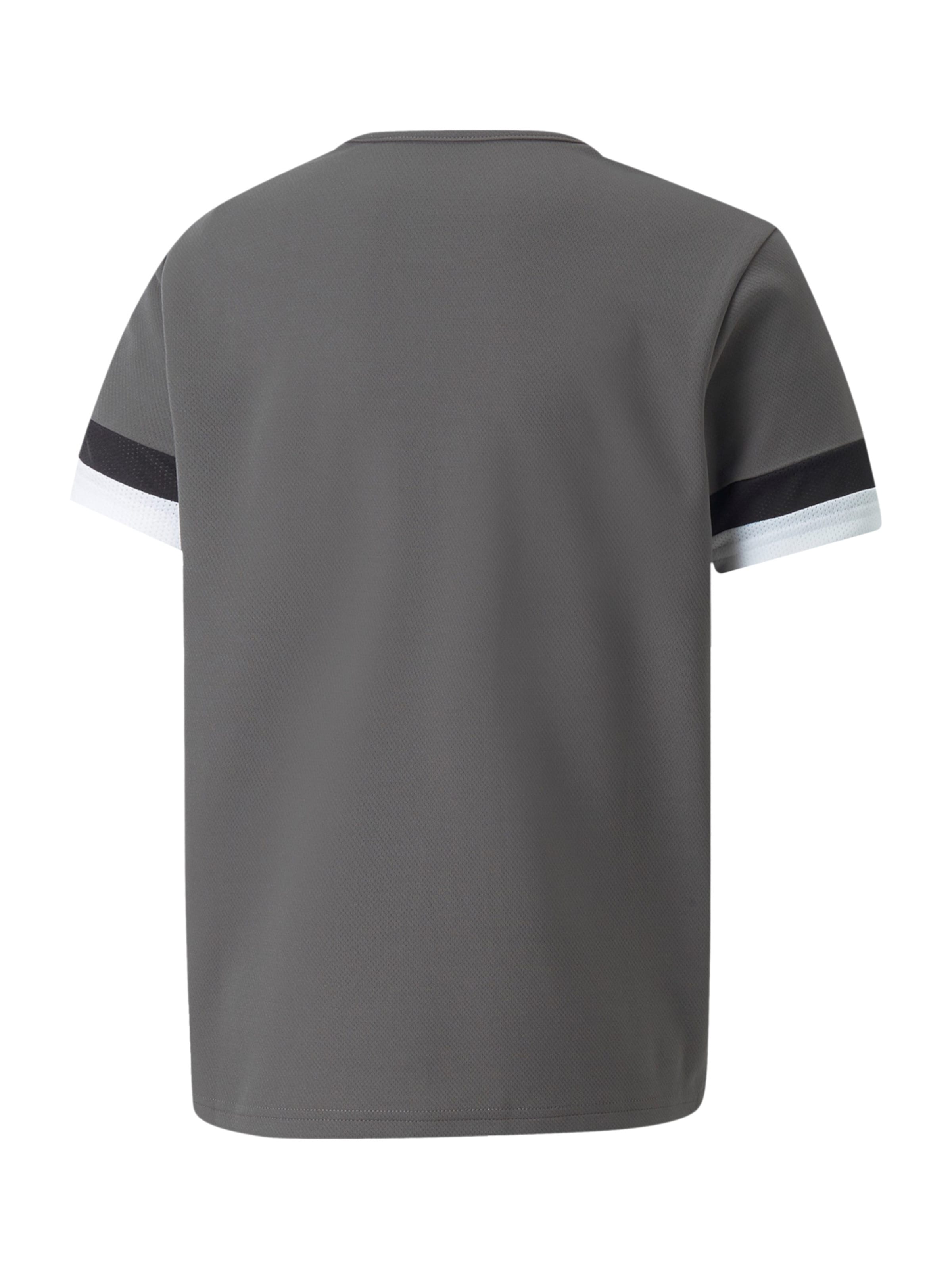 PUMA Performance Shirt 'TeamRise' in Grey