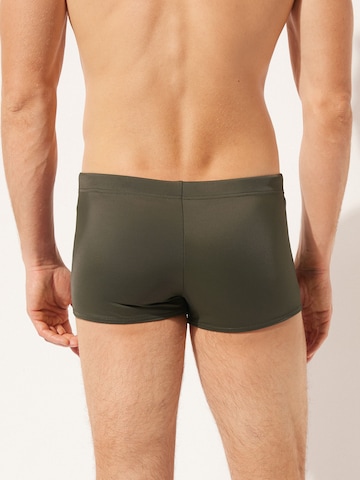 CALZEDONIA Swim Trunks in Green