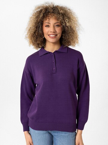 Williot Sweater 'Joshua' in Purple: front