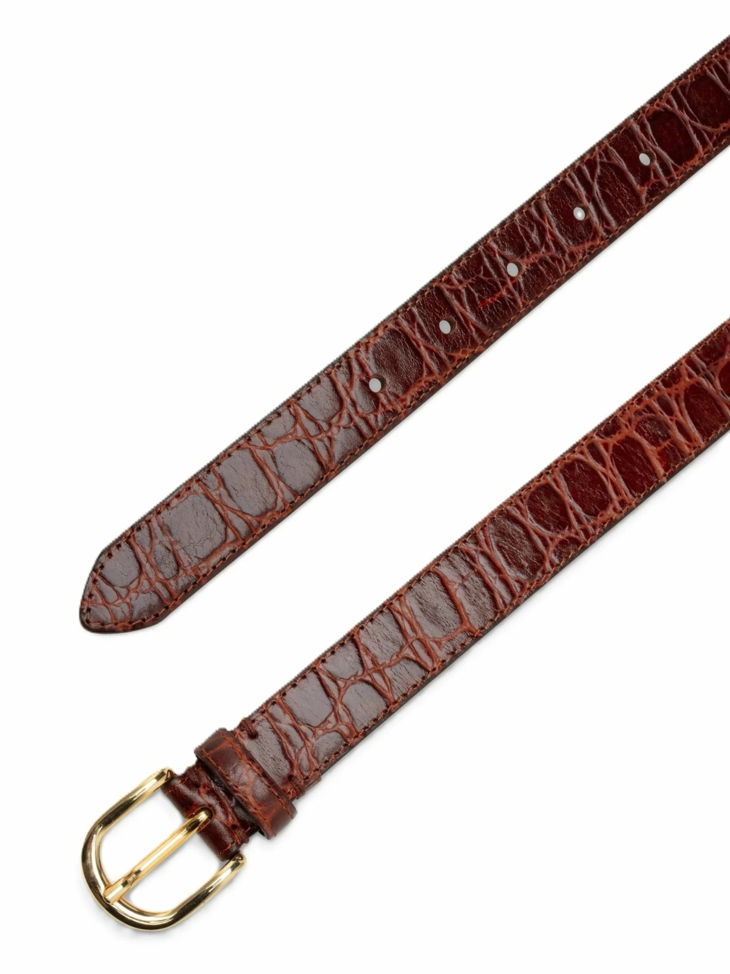 Ca'Shott Riem ' CASVERA ' in Bruin