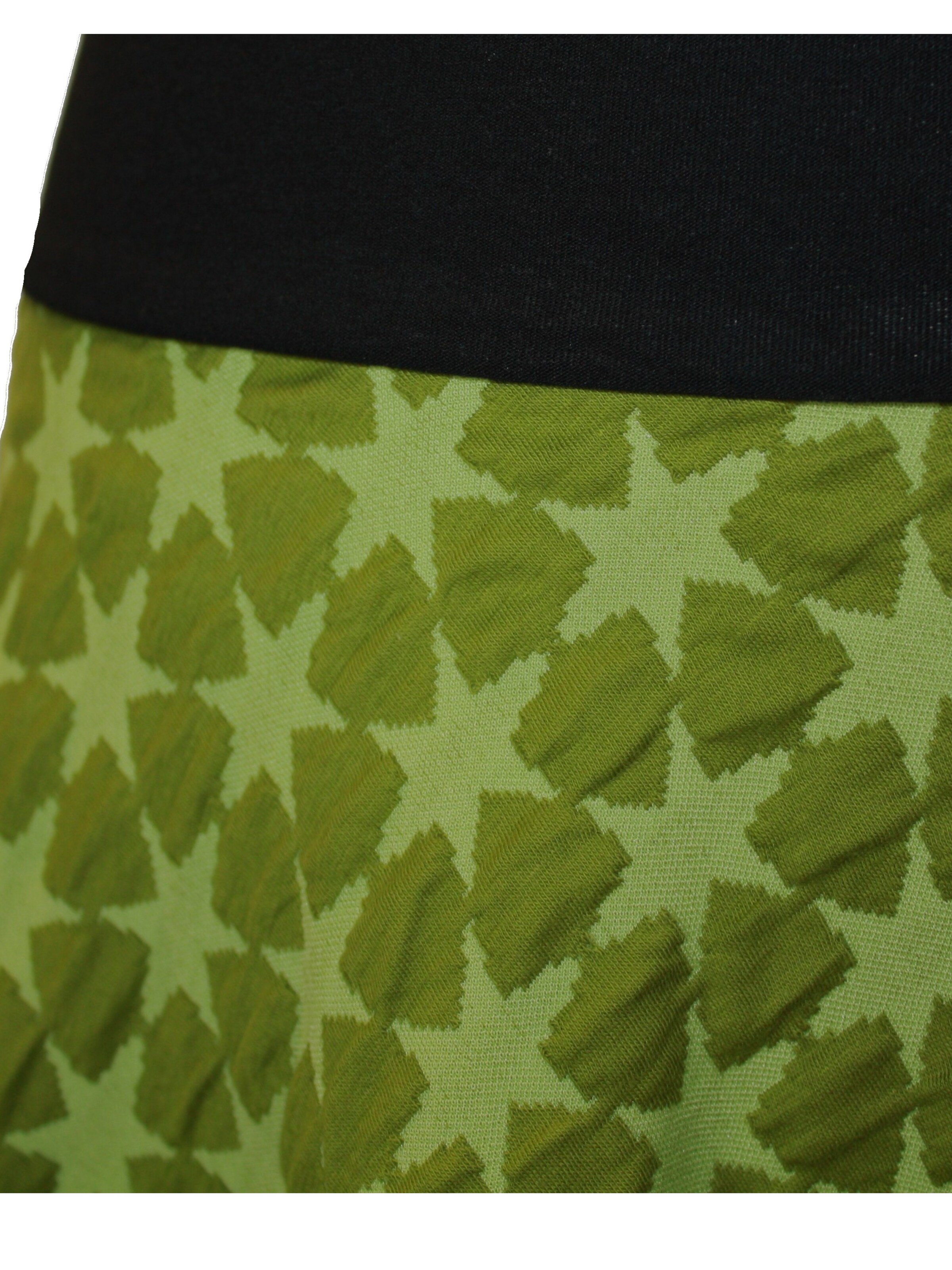 dunkle design Skirt 'Stern' in Green