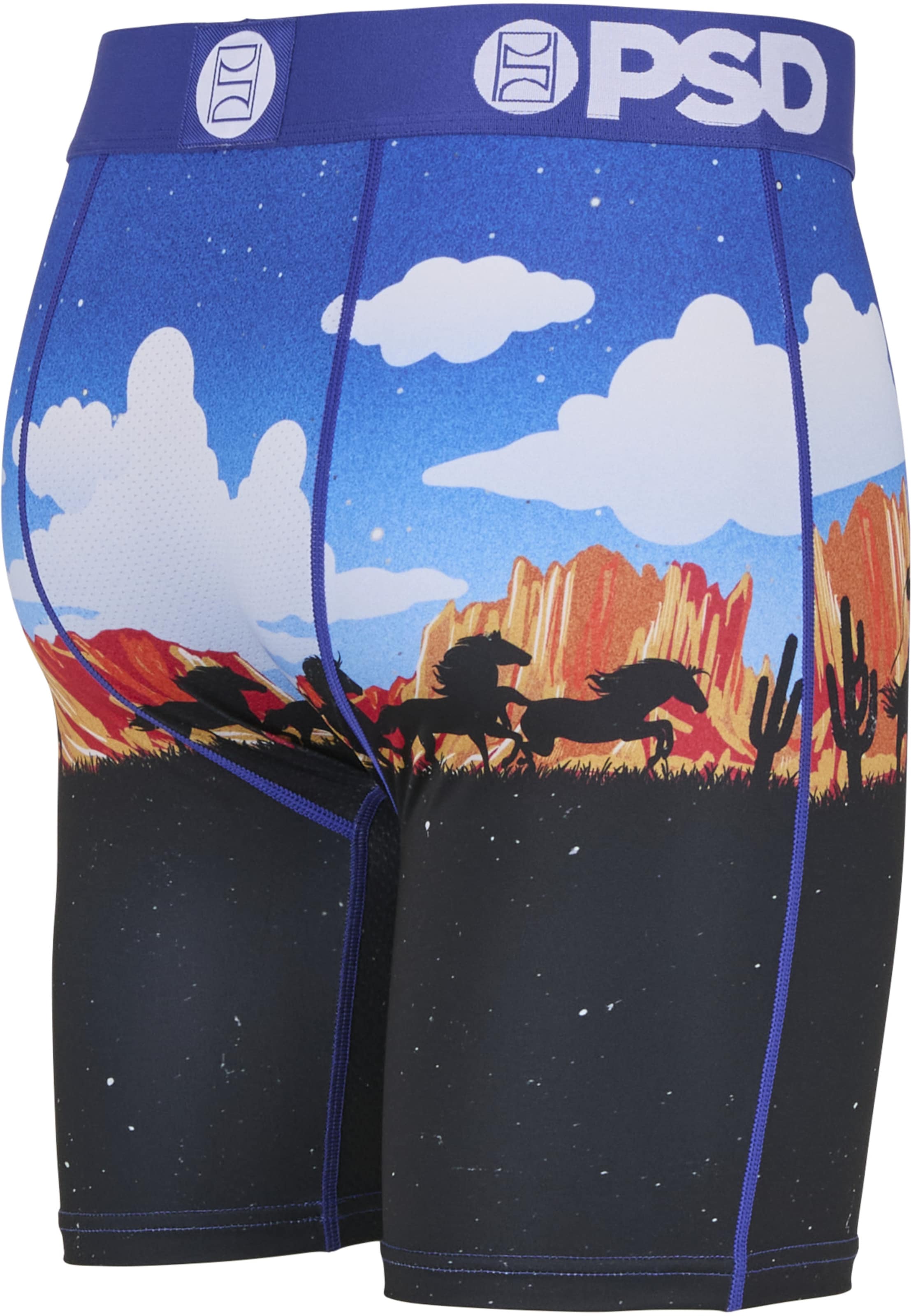 Boxers 'ACE HIGH' PSD en mélange de couleurs