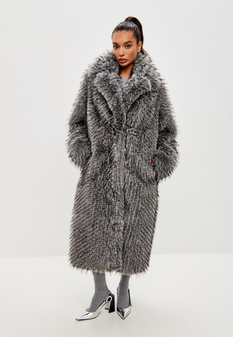 CESARE GASPARI Winter coat in Grey