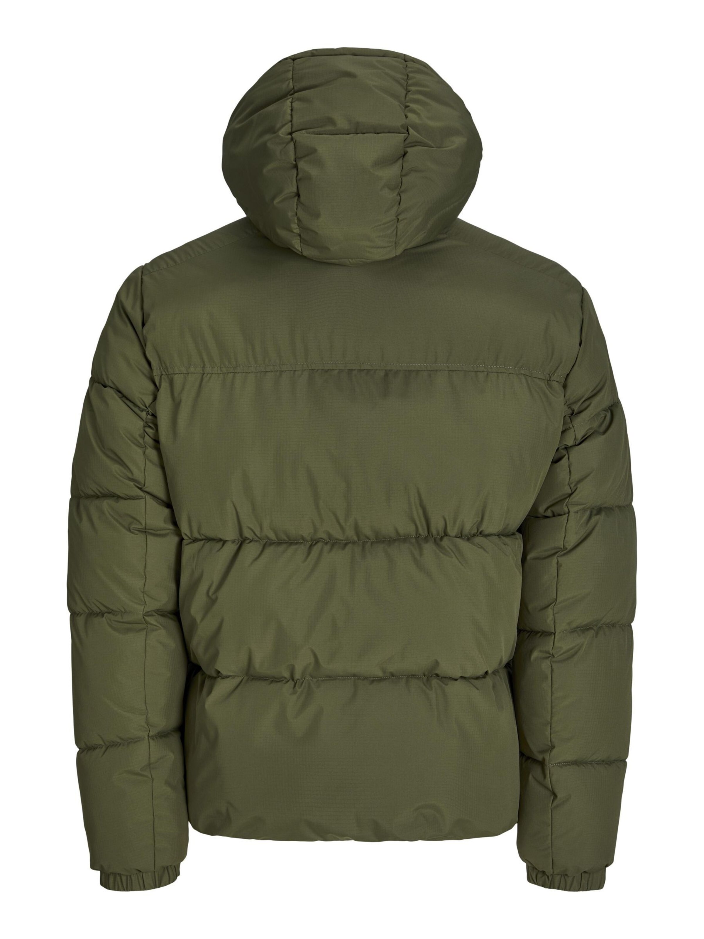 aprel Winter Jacket in Green