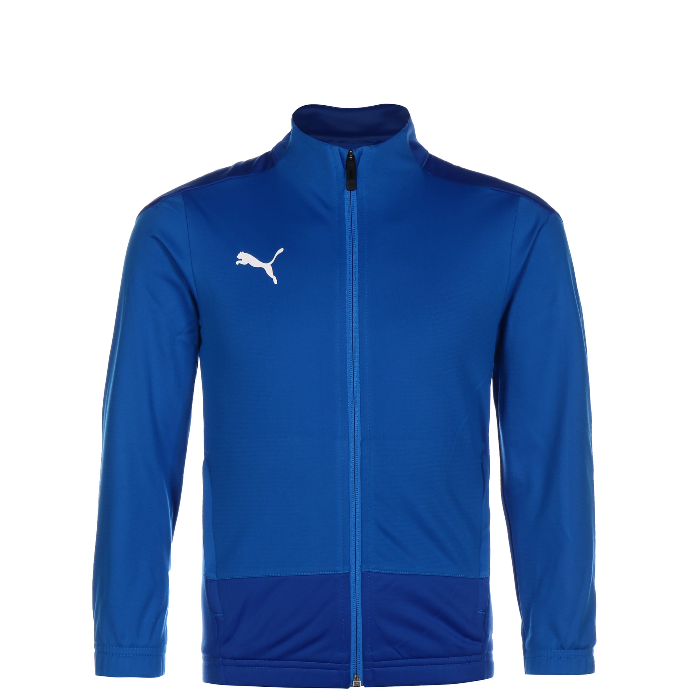 PUMA Športová bunda 'TeamGOAL' - Modrá: predná strana