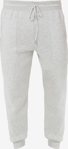 Tapered Pantaloni di Jimmy Sanders in grigio: frontale