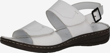 CAPRICE Sandals in White: front