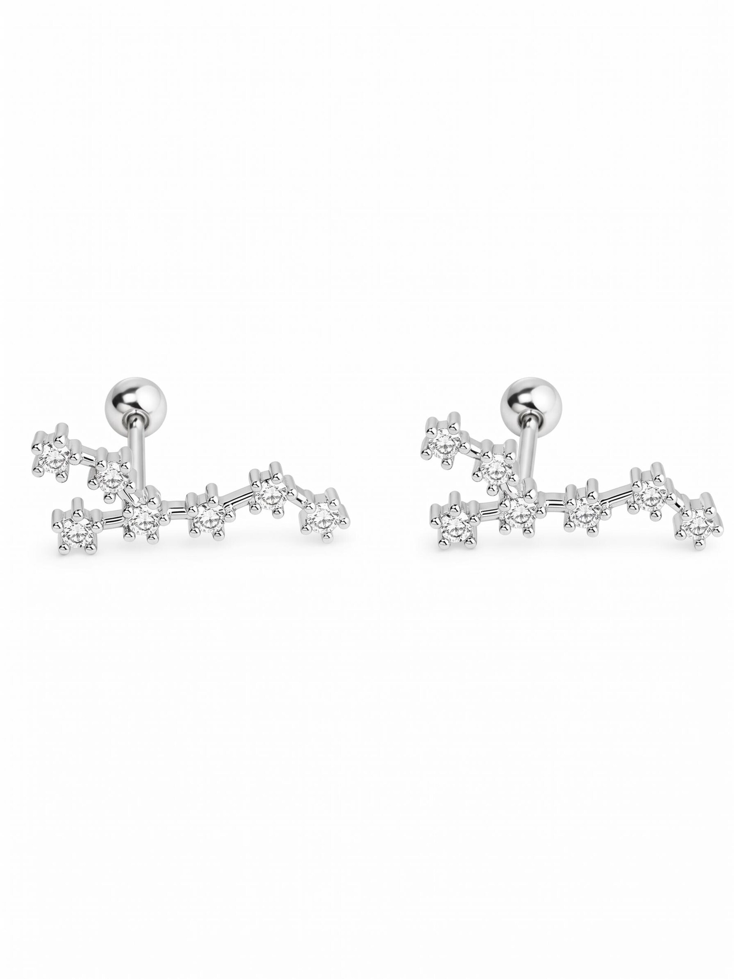 Kamakula Earrings 'Zodiac Löwe' in Silver: front
