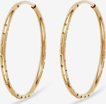 FAVS Earrings in Gold: front