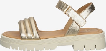 SANSIBAR Sandals in Gold