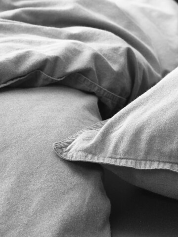 ESSENZA Bettbezug 'Guy' in Grau