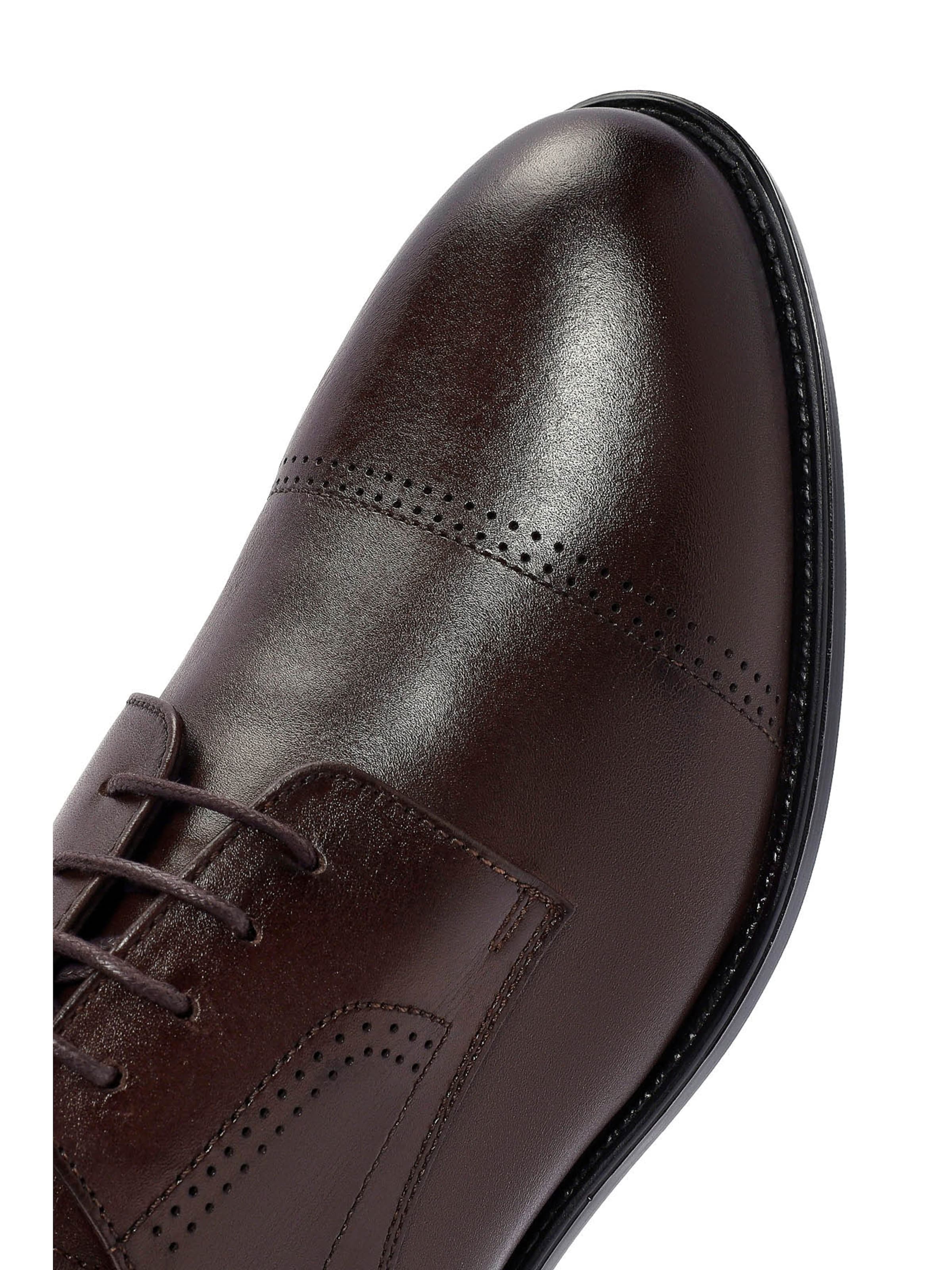 Chaussure à lacets Derimod en marron