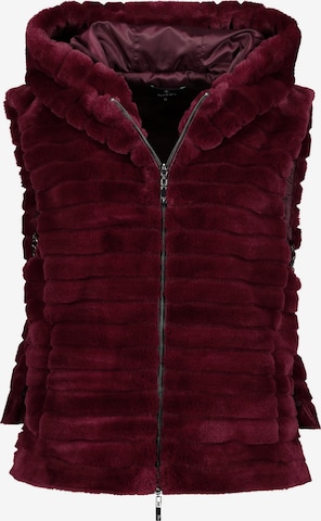 Gilet di monari in rosso: frontale