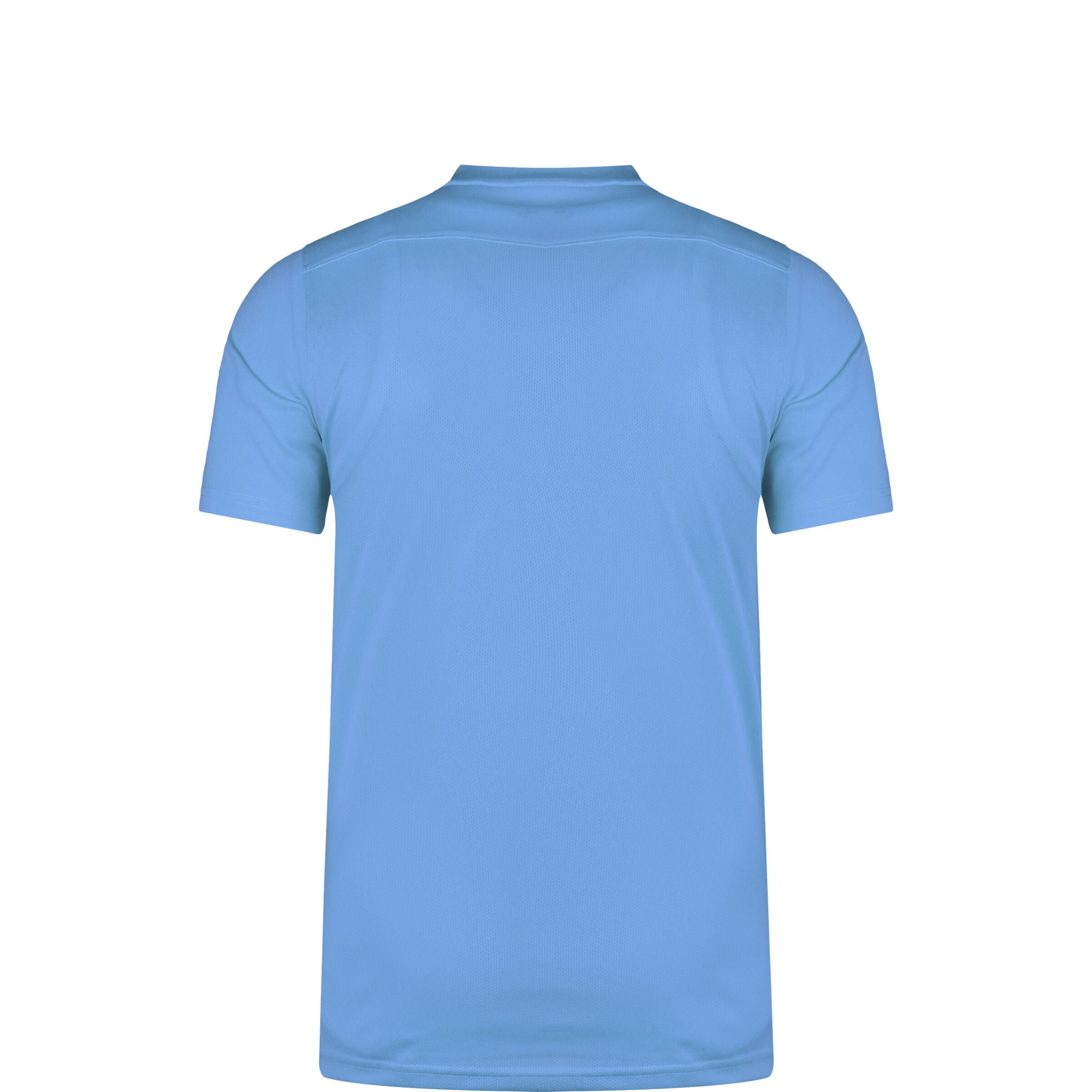NIKE Trikot 'Park VII' in Blau
