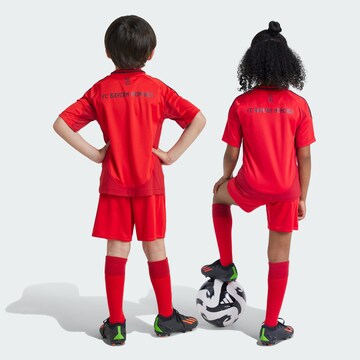 ADIDAS PERFORMANCE Trainingspak 'FC Bayern München 24-25' in Rood