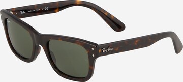 Ray-Ban Sluneční brýle '0RB2283' – hnědá: přední strana