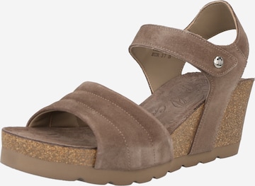 PANAMA JACK Sandals 'Valley' in Grey: front