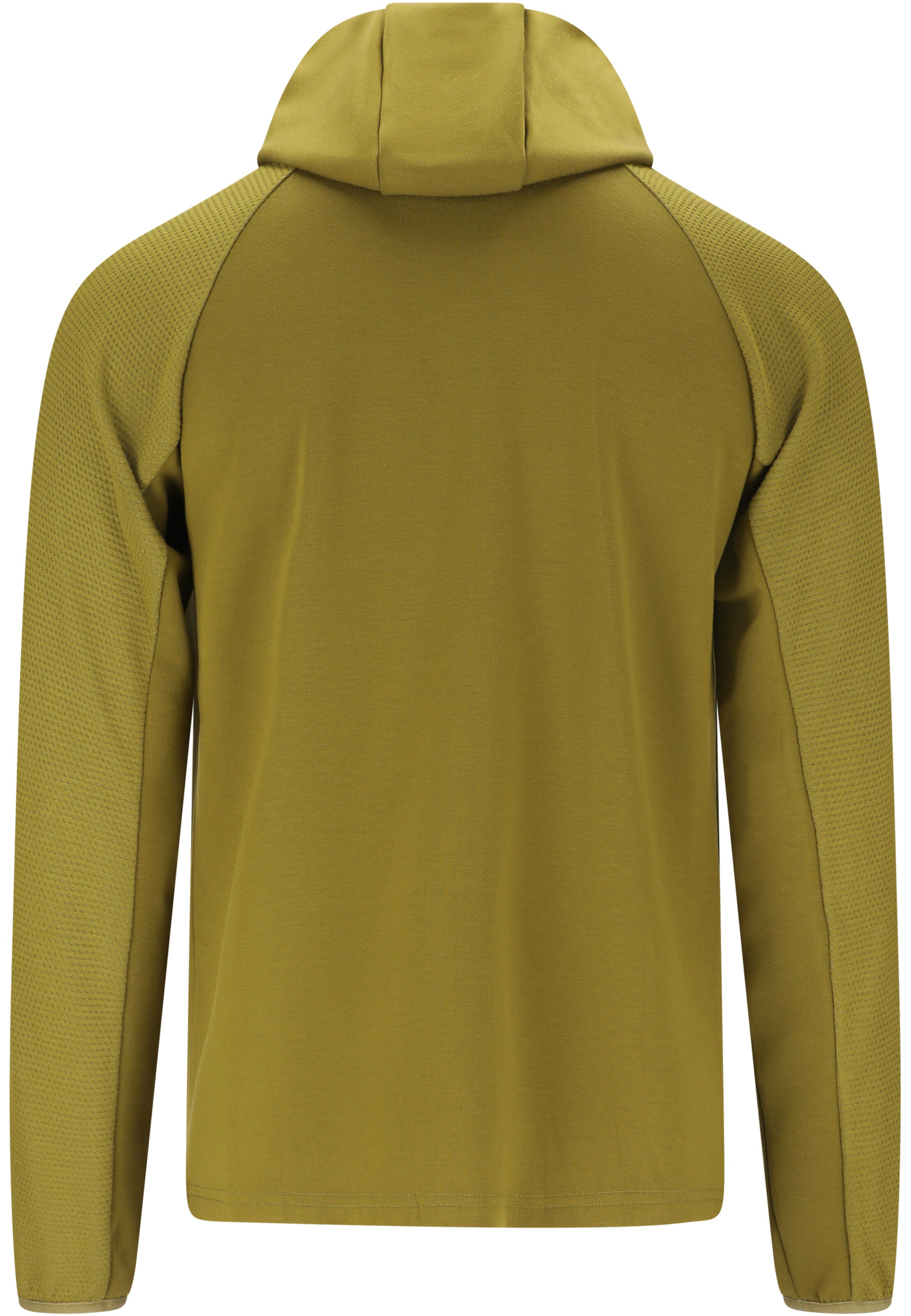 Whistler Outdoor jacket 'Langley' in Green