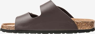 Cruz Mules in Brown