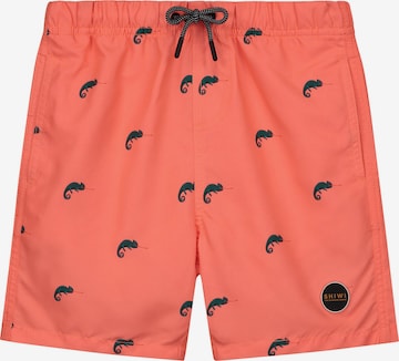 Shiwi Плавательные шорты в Оранжевый: спереди