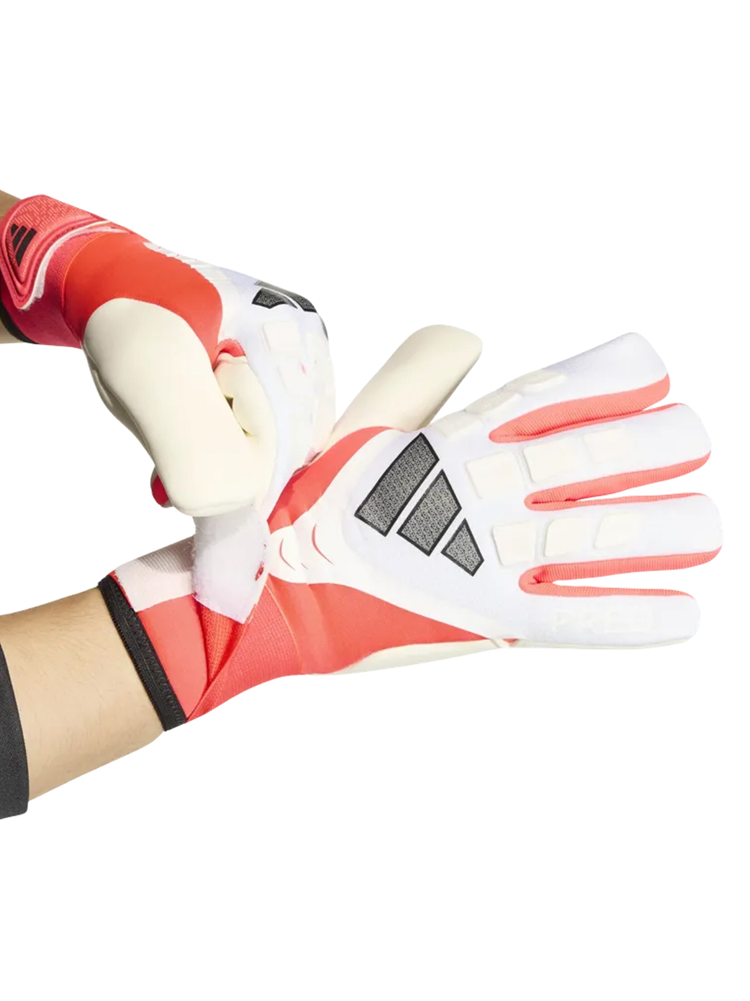 ADIDAS PERFORMANCE Sporthandschuhe 'Predator Competition Born for Goals'‌ in Weiß