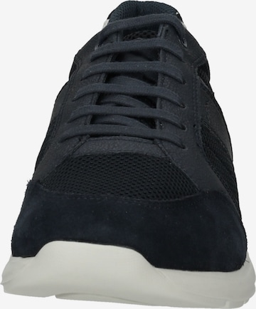 GEOX Sneakers laag 'Damiano' in Blauw